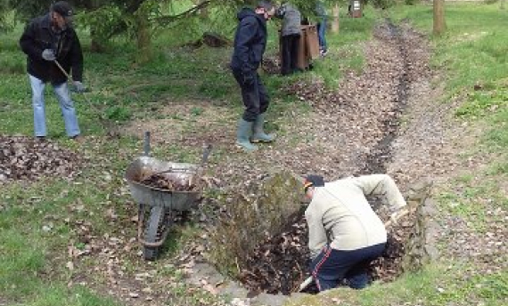 V průběhu jarní brigády byl uklizen park
