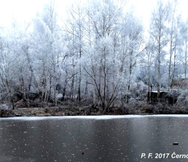 2016, prosinec: P. F. 2017