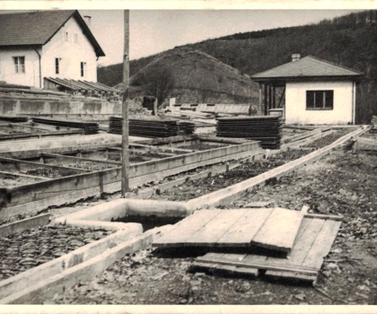 Galerie - vyhledáno: 