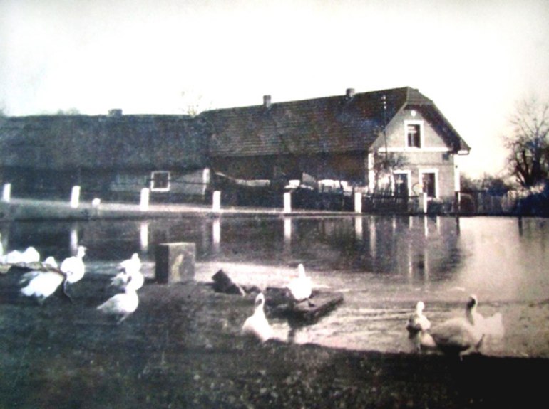nový článek